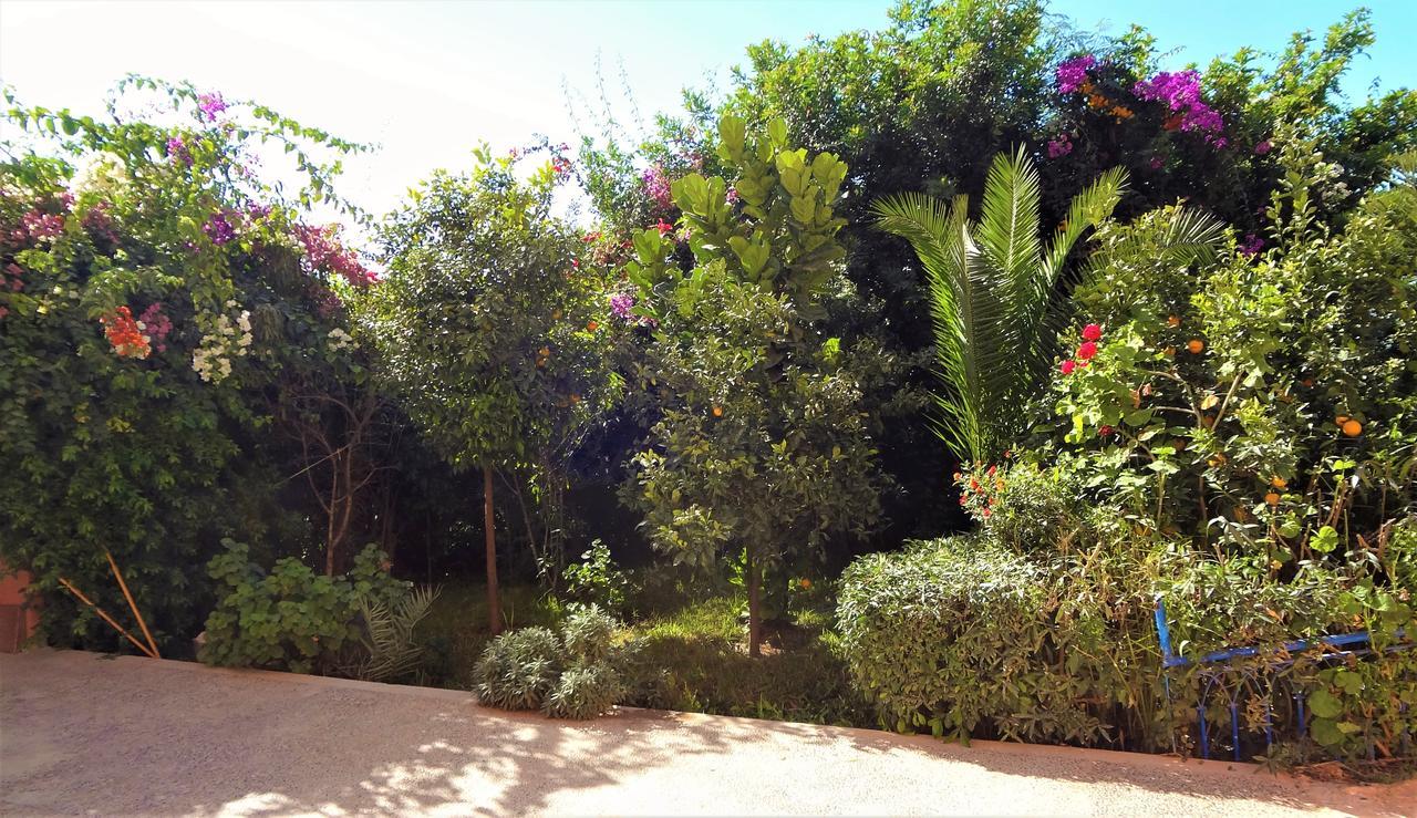 Tamraght Ou Fella Surf & Yoga Paradise Morocco旅舍 外观 照片