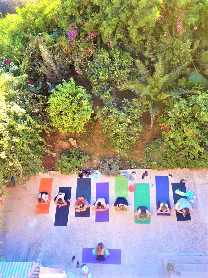 Tamraght Ou Fella Surf & Yoga Paradise Morocco旅舍 外观 照片