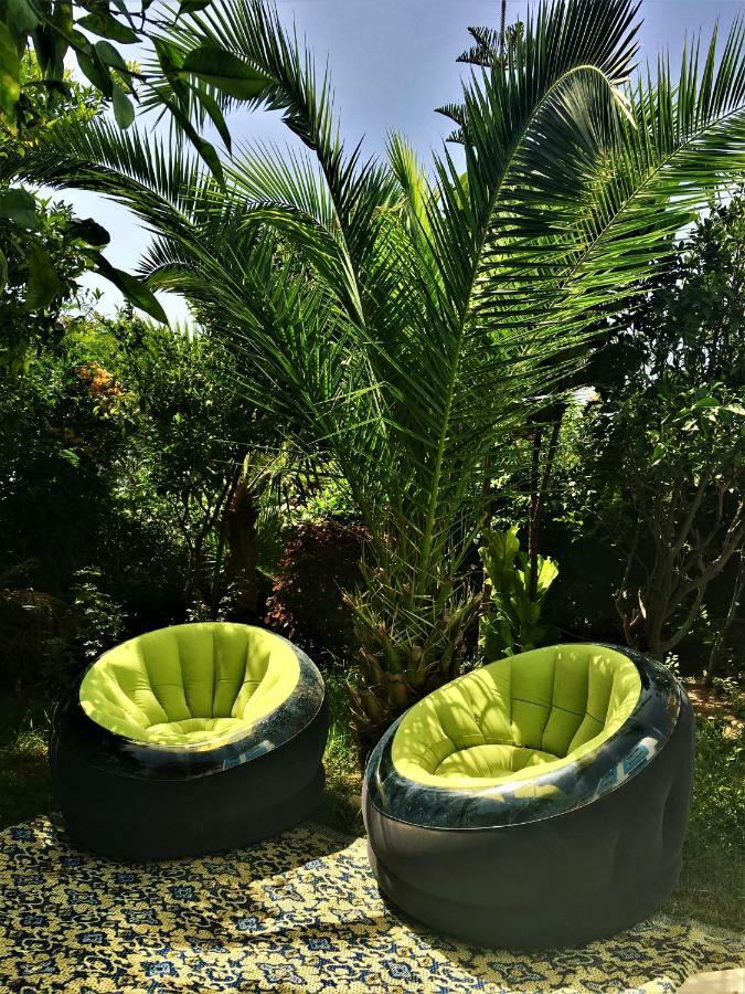 Tamraght Ou Fella Surf & Yoga Paradise Morocco旅舍 外观 照片