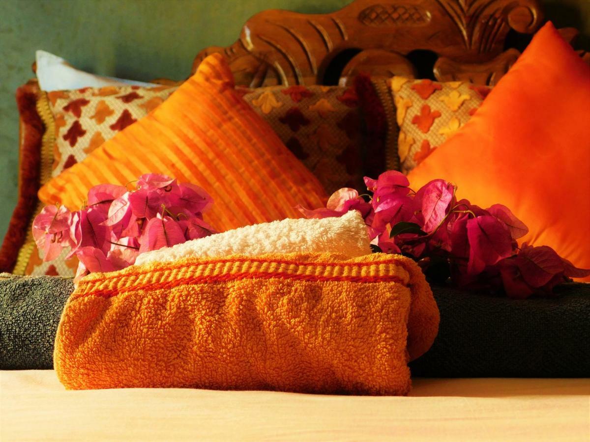 Tamraght Ou Fella Surf & Yoga Paradise Morocco旅舍 外观 照片