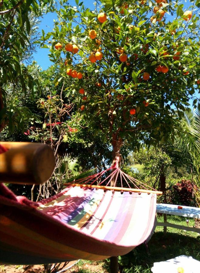 Tamraght Ou Fella Surf & Yoga Paradise Morocco旅舍 外观 照片